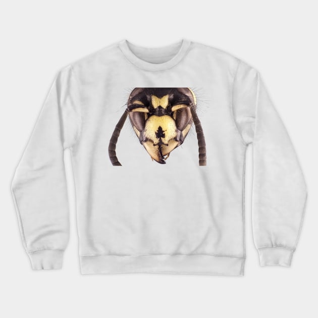 Wasp head Crewneck Sweatshirt by SDym Photography